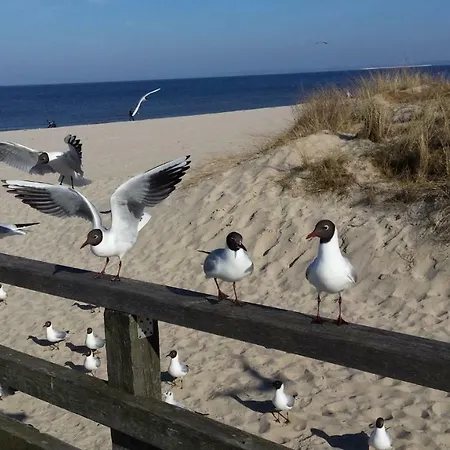 Διαμέρισμα Sunrise *